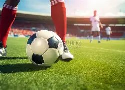 双色球魅力,绽放,期精准预测,重庆体彩,重庆体彩网,重庆体彩网官网,体育彩票,体彩大乐透,竞彩足球,体彩公益