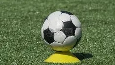 【独家揭秘】伟国彩坛风向标！双色球篮球杀号精准预测，上期绝杀码命中率爆表！