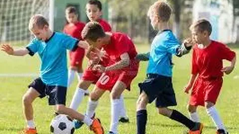 神秘门扉：探索权限限制的奥秘