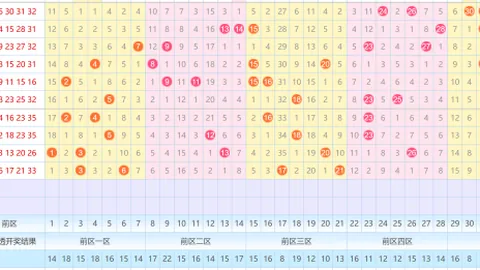 【邂逅初彩】大乐透第2026009期独家剖析，复式精选10码，惊喜连连稳中求胜！