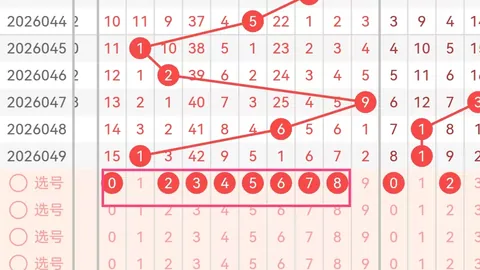 体彩排列三059期专家精准预测：质合分析推荐前区十码